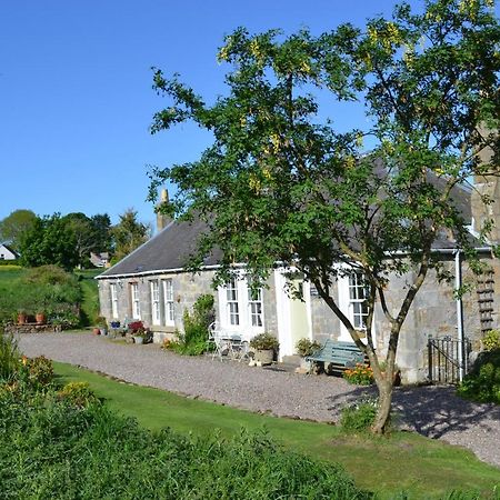 Balmungo Cottage B&B Σεντ Άντριους Εξωτερικό φωτογραφία